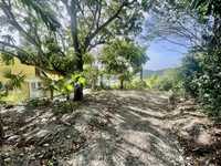House 2729391706