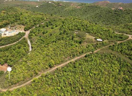 45 Clairmont NB, 24-1537, Other, Lots and Land,  for sale - Dionne Nelthropp, Hibiscus Homes