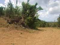 House 2692664353