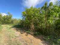 House 2692664805