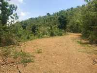House 2692665049