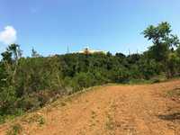 House 2692666426