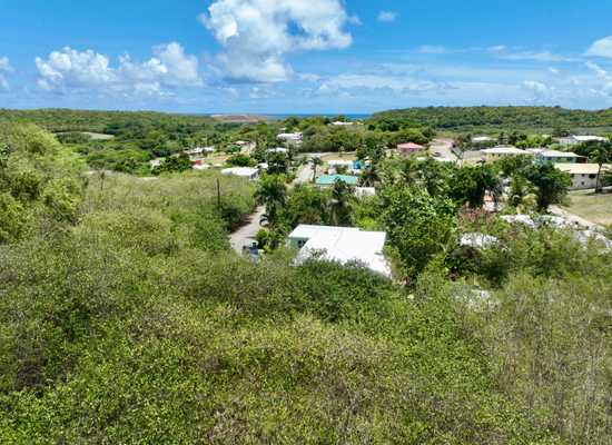 112 V.I. Corp Lands PR, 25-1670, Other, Lots and Land,  for sale - Dionne Nelthropp, Hibiscus Homes