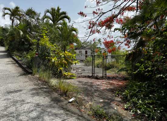 63 Fortuna WE, 25-1658, Other, Residential - Single,  for sale - Dionne Nelthropp, Hibiscus Homes