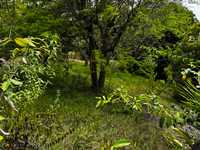 House 2701853800