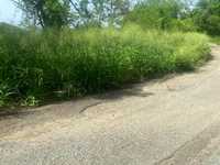 House 2701861111