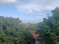 House 2711860338