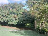 House 2711860357