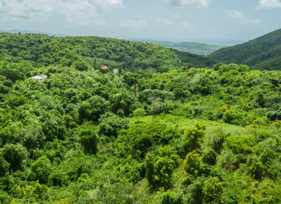 9-E Montpellier PR, 25-1759, Other, Lots and Land,  for sale - Dionne Nelthropp, Hibiscus Homes