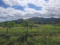 House 2716140486
