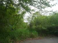 House 2729401923