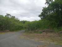 House 2729402020