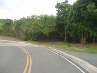 House 2729402025