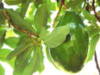 House 2735482487