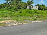 House 2735764297