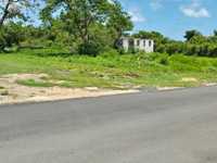 House 2735764299