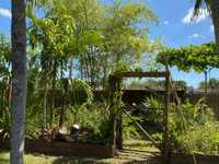 House 2744301265