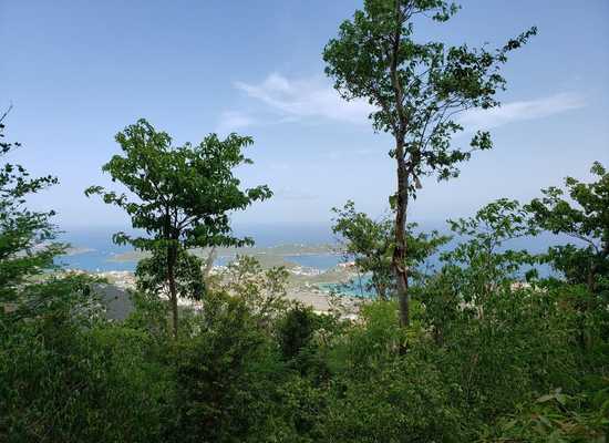 9D Crown & Hawk SS, 25-1882, Other, Lots and Land,  for sale - Dionne Nelthropp, Hibiscus Homes