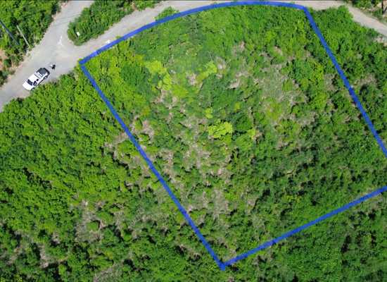 294 Union & Mt. Wash EA, 25-1891, Other, Lots and Land,  for sale - Dionne Nelthropp, Hibiscus Homes