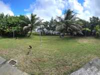 House 2744554548