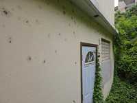 House 2746047226