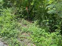 House 2747608732