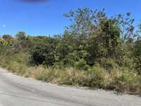 House 2758199593