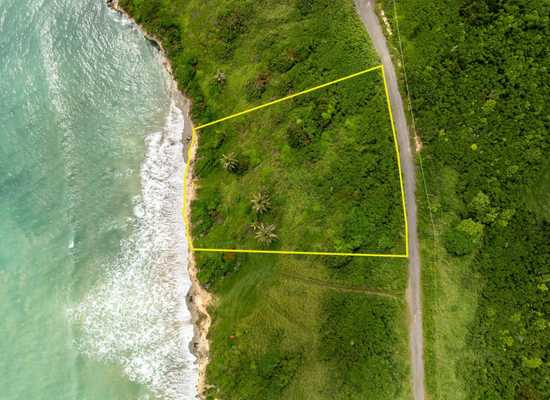 102 Enfield Green PR, 25-1986, Other, Lots and Land,  for sale - Dionne Nelthropp, Hibiscus Homes