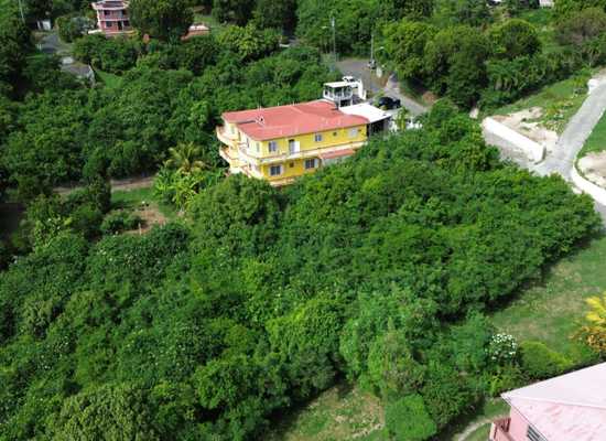 8-E Constitution Hill CO, 25-1997, Other, Lots and Land,  for sale - Dionne Nelthropp, Hibiscus Homes