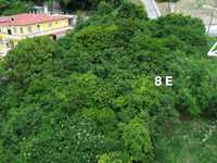 House 2773167658