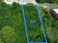 House 2773167388