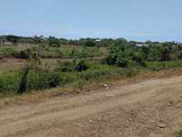 House 2774105190