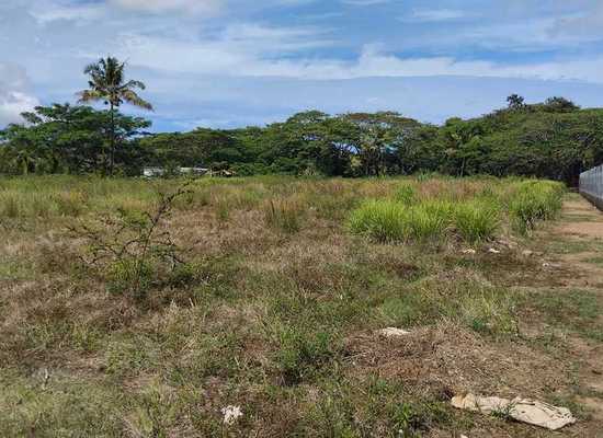 NRL189 Nalovo, Nadi, Nadi, Land,  for sale, PROPERTY EXPERTS 
