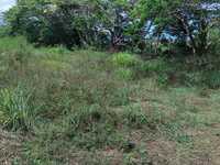 House 2774108651