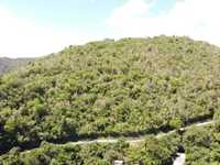 House 2774465582