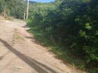 House 2777315046