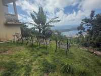House 2775913669