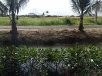 House 2776721230