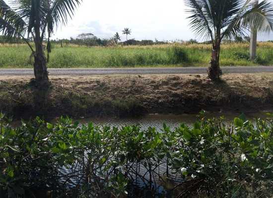 NMH48 Sonaisali, Nadi, Nadi, Land,  for sale, PROPERTY EXPERTS 