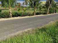 House 2776721231