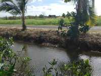 House 2776721236