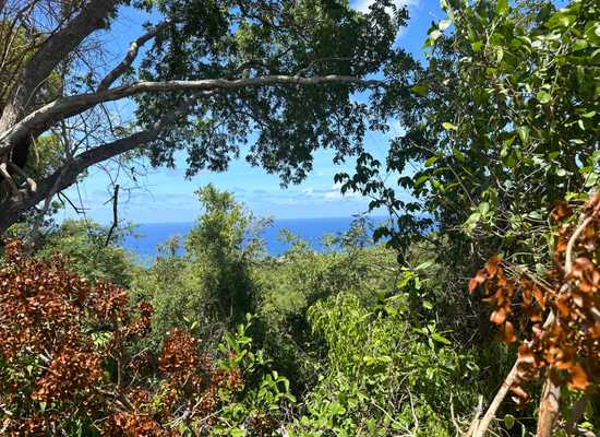 7-B Mt Washington WE, 25-2043, Other, Lots and Land,  for sale - Dionne Nelthropp, Hibiscus Homes