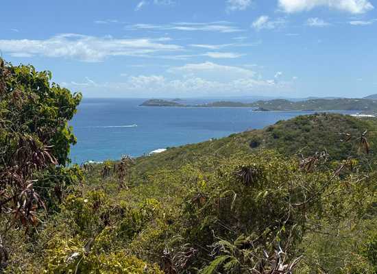 21-27 Frenchman Bay FB, 25-2045, Other, Lots and Land,  for sale - Dionne Nelthropp, Hibiscus Homes