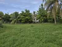 House 2995936604