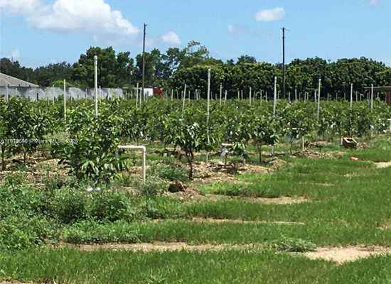 15000 SW 256 ST., Homestead, Commercial Land,  for sale, Real Estate Brokerage