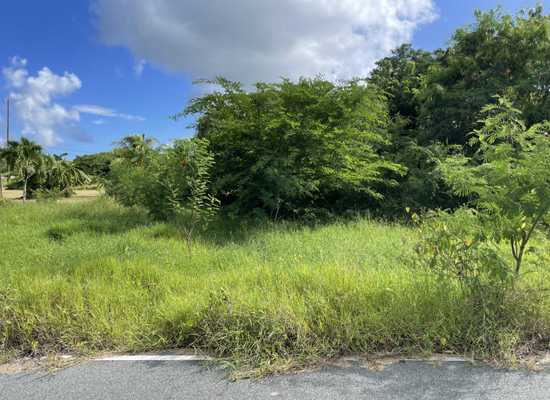 42-F Whim (Two Will) WE, 25-2112, Other, Lots and Land,  for sale - Dionne Nelthropp, Hibiscus Homes