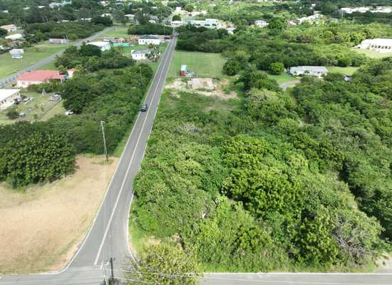 41-K Whim (Two Will) WE, 25-2152, Other, Lots and Land,  for sale - Dionne Nelthropp, Hibiscus Homes