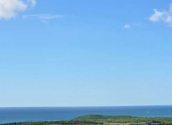 24 Spring Garden CO, 25-2155, Other, Lots and Land,  for sale - Dionne Nelthropp, Hibiscus Homes