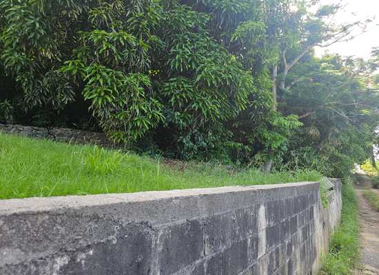 2E-23 Caret Bay LNS, 25-2145, Other, Lots and Land,  for sale - Dionne Nelthropp, Hibiscus Homes