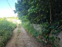 House 2798097543